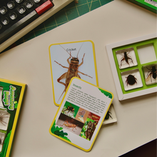 Load image into Gallery viewer, Acrylic Insect Specimen Set