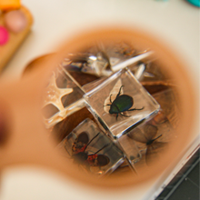 Load image into Gallery viewer, Acrylic Bee and Flower