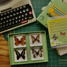Load image into Gallery viewer, Acrylic Butterflies