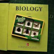 Load image into Gallery viewer, Acrylic Insect Specimen Set