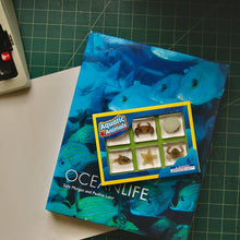 Load image into Gallery viewer, Acrylic Sea Life