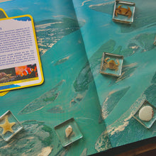 Load image into Gallery viewer, Acrylic Sea Life
