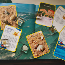 Load image into Gallery viewer, Acrylic Sea Life
