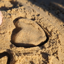 Load image into Gallery viewer, Silicone Beach Toy Set