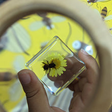 Load image into Gallery viewer, Wooden Dual Magnifying Glass