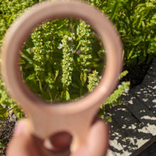 Load image into Gallery viewer, Wooden Dual Magnifying Glass