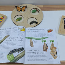 Load image into Gallery viewer, Caterpillar Puzzle