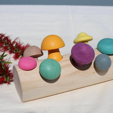 Load image into Gallery viewer, Mushroom Picking