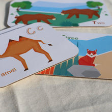 Load image into Gallery viewer, Alphabet & Number Flash Cards
