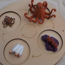 Load image into Gallery viewer, Animal life-cycle