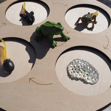 Load image into Gallery viewer, Animal life-cycle