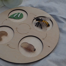 Load image into Gallery viewer, Animal life-cycle