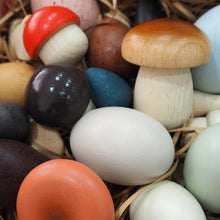 Load image into Gallery viewer, Wild Mushrooms