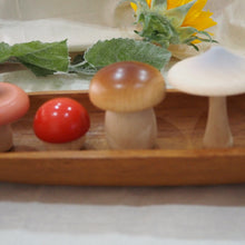 Load image into Gallery viewer, Wild Mushrooms