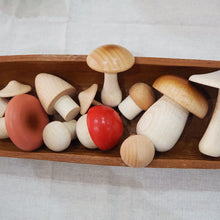 Load image into Gallery viewer, Wild Mushrooms