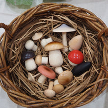 Load image into Gallery viewer, Wild Mushrooms