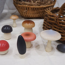 Load image into Gallery viewer, Wild Mushrooms
