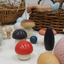 Load image into Gallery viewer, Wild Mushrooms