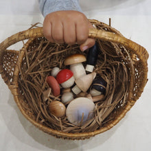 Load image into Gallery viewer, Wild Mushrooms