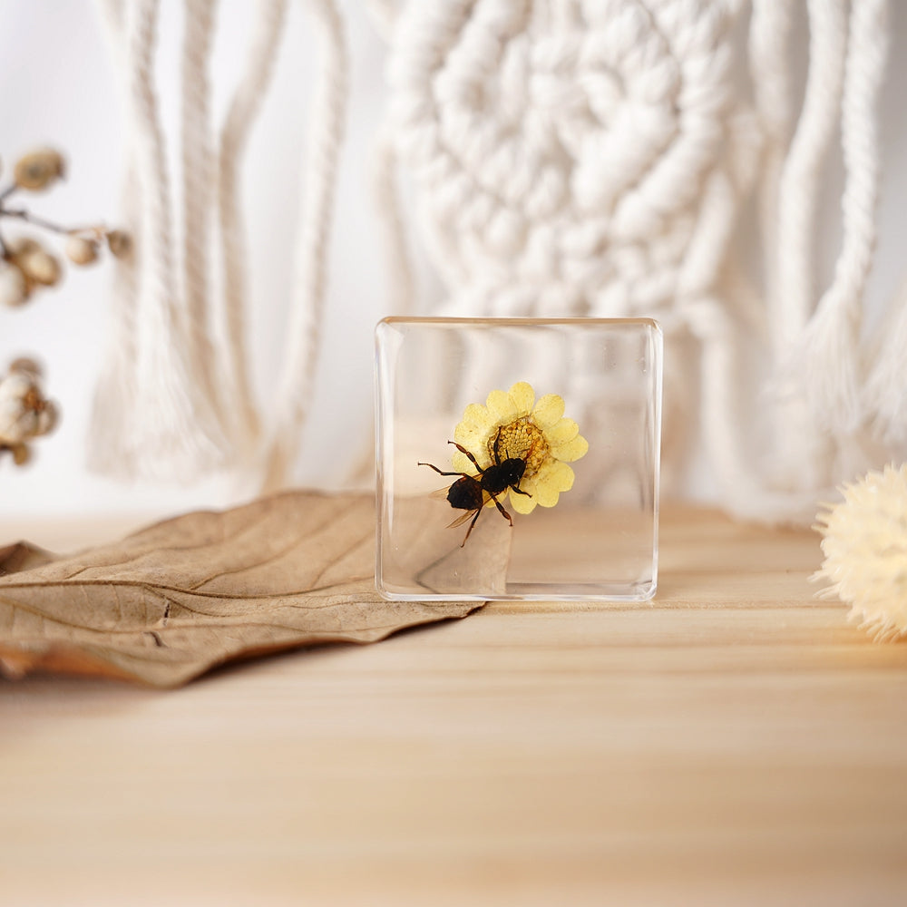 Acrylic Bee and Flower