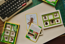 Load image into Gallery viewer, Acrylic Insect Specimen Set
