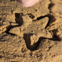 Load image into Gallery viewer, Silicone Beach Toy Set

