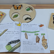 Caterpillar Puzzle