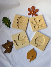 Load image into Gallery viewer, Montessori Wooden Leaf Puzzle- Set of 4
